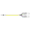 MTP-F/LC 12-fibers patchkabel OS2, 2m